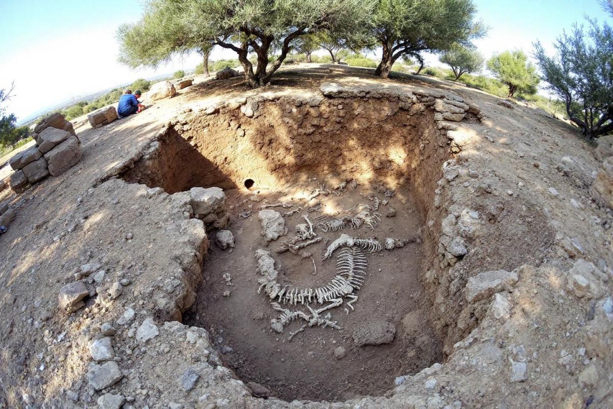 Affaire Françoise Boutteaux : ses ossements retrouvés en Grèce confirmés par ADN